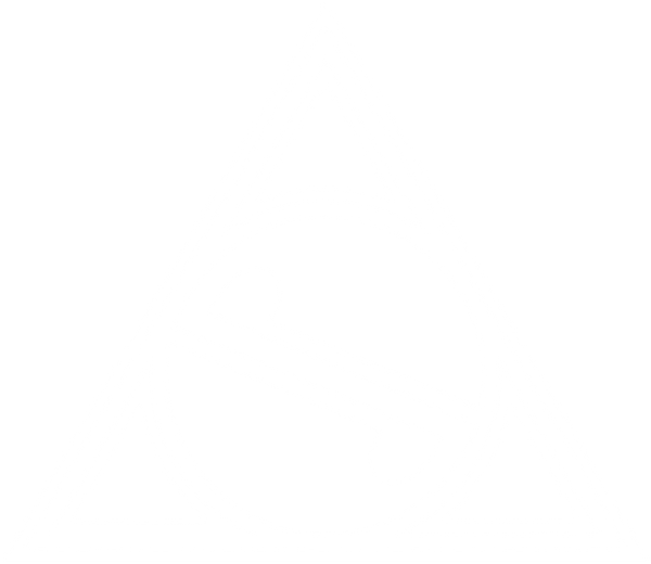 Sardinha Brazilian Jiu Jitsu